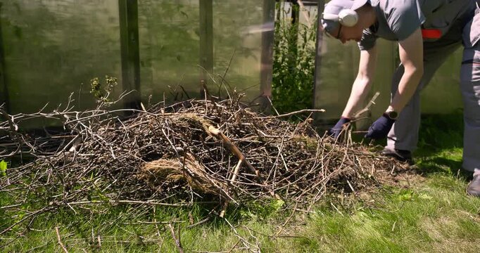 Man in headphones and workwear cleaning up dry branches from pile near greenhouse on sunny day, organizing yard waste for further shredding or disposal, ESG garden maintenance, eco friendly lifestyle
