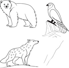 polar bear vector illustration