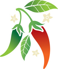 Chili Peppers Illustration with Leaves and Flowers