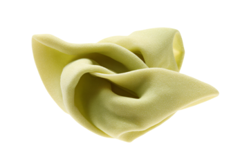 a close up of a piece of food with a white background
