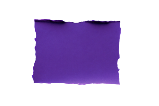 a piece of paper with a torn edge