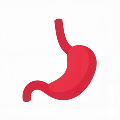 Stylized depiction of a human stomach in red color  