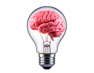 Light Bulb Containing a Brain in Motion, Isolated on Transparent Background
