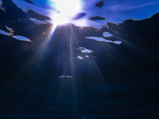 underwater, ocean, sea, water, under, marine, blue, clean, deep, background, clear, surface, diving, sunlight, aquatic, nature, light, abstract, sun, bright, depth, aqua, liquid, summer, pattern.