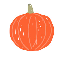 Hand-drawn pumpkin on white background. Autumn harvest and seasonal vegetable