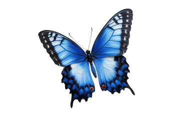 Obraz premium Graceful Blue Butterfly Flying Isolated on Transparent Background