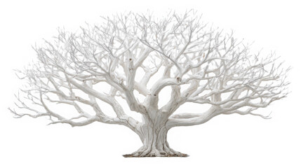 Ethereal Beauty of White Tree Silhouette: Serene Minimalist Winter Wonderland Scene