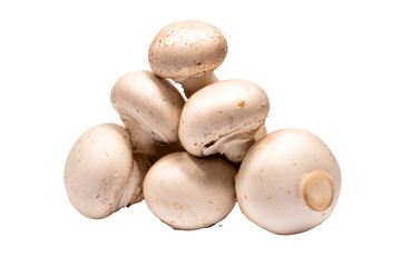 a pile of mushrooms on a white surface