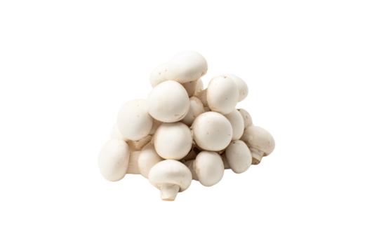 a pile of mushrooms on a white surface