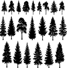 Trees silhouettes. Forest and park pines firs and spruces, coniferous and deciduous trees. Vector isolated retro images nature set
