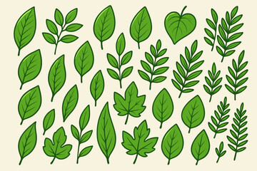 Green leaves big vector collection. Set of graphical elements with various leaf designs in different shapes. Cartoon illustration for nature, eco, bio and organic concepts.