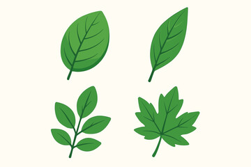 Green leaves vector set. Collection of flat leaf design icons. Cartoon botanical illustration. Plant, foliage, and tree leaves. Spring, summer natural organic eco concept.