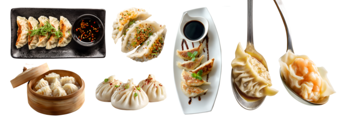 Set of jiaozi Gyoza Pierogi mandu, soup dumplings, tangbao, Chinese steamed bun, Xiao Long Bao baozi, wonton, broth meat filling, isolated on transparent cutout PNG. Many different Mockup template.	
