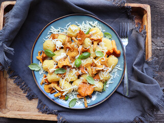 Italian homemade fresh gnocchi with wild chanterelle mushrooms