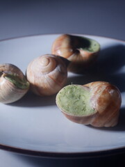 snail on a plate