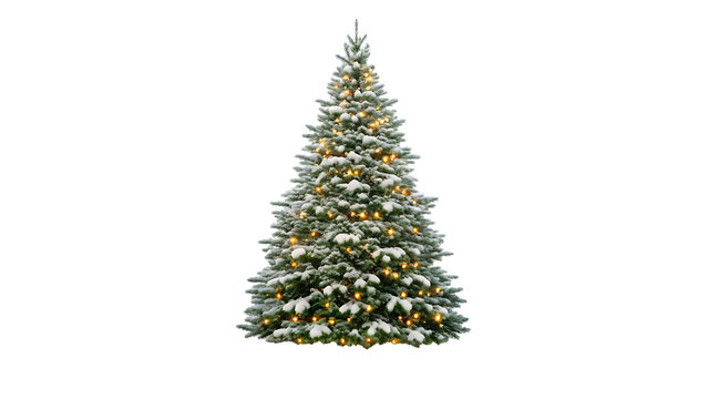 Decorated christmas tree with lights isolated on transparent background