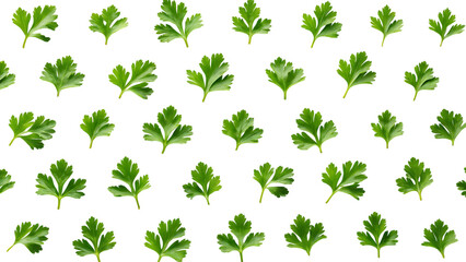 Fototapeta premium Fresh parsley leaves pattern isolated on transparent background