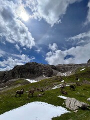 mountain landscape with blue sky