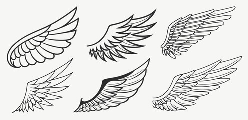 Six Different Wing Designs: Vector Graphic Illustrations