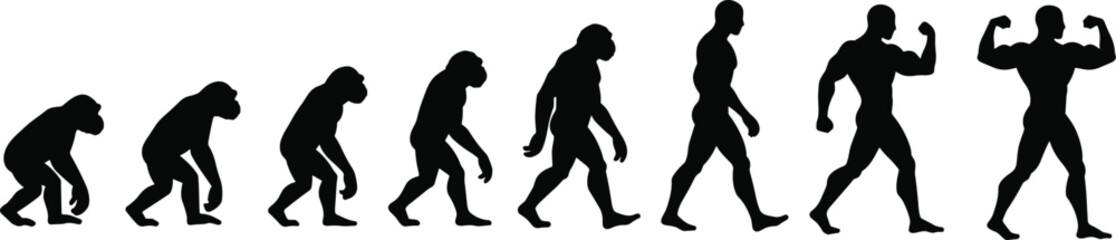 Human evolution silhouette, primate progression, growth stages, biological transformation, scientific conceptHuman evolution silhouette, primate progression