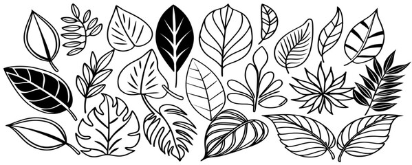 Fototapeta premium Collection of Hand-Drawn Black and White Leaves