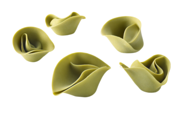 a group of pasta shells arranged in a circle