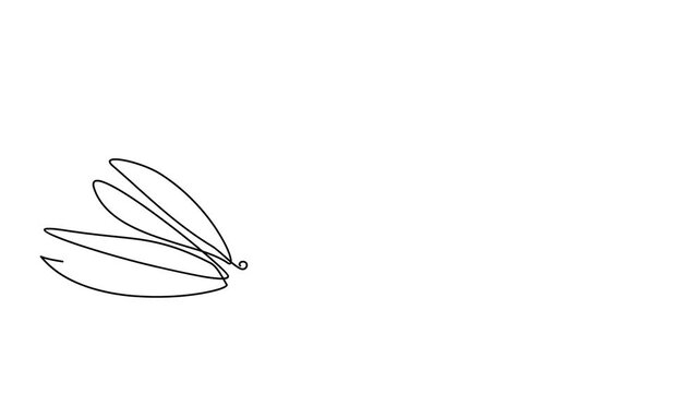 Animated self drawing of continuous line draw olive branches. Full length one line animation. 4K	