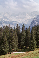 yosemite national park