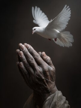 Serene image of praying hands and a white dove. Perfect for spirituality, faith, hope, and peace concepts. Ideal for websites, blogs, and social media.