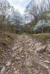 panoramic viewing platforms on the way along the mountain cuesta on the weekend route