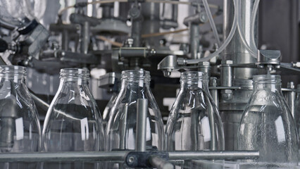 Empty glass bottles moving along conveyor belt in