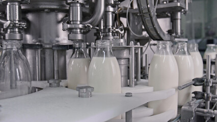 Milk bottling plant, automated machinery filling