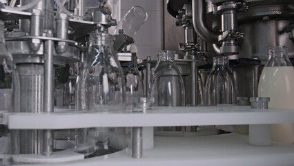 Automatic machine pouring milk into glass bottles