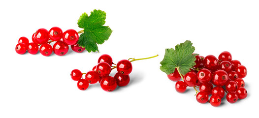 branches of delicious red currants on a white background