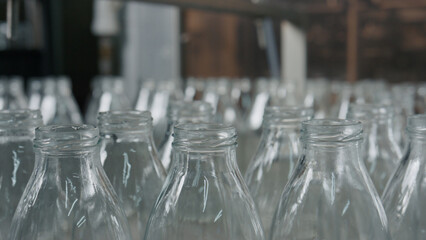 Empty glass bottles moving on conveyor belt in