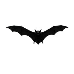 Fototapeta premium A single black bat silhouette in mid-flight with wings spread wide, lifelike and sharp, isolated on a clean white background with copy space, no shadows. Concept for Halloween graphic design