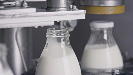 Automatic machine capping milk bottles in dairy