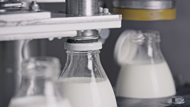 Automatic machine capping glass milk bottles in