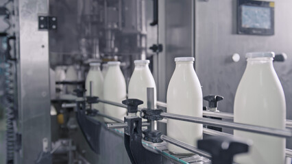 Milk bottles moving on conveyor belt in dairy