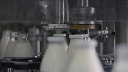 Automatic machine capping milk bottles in dairy