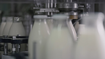 Automatic machine capping milk bottles in dairy