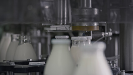 Automatic machine capping glass bottles of milk in
