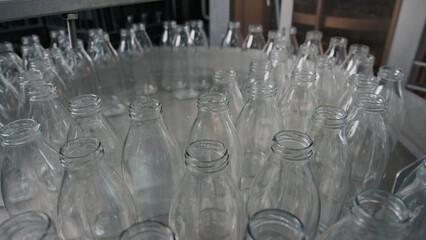 Empty glass bottles moving on conveyor belt in
