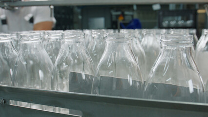 Empty glass bottles moving along conveyor belt in