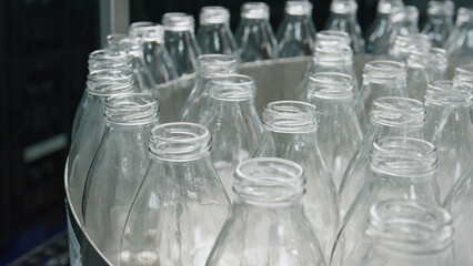 Empty glass bottles moving on industrial conveyor