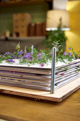 Delicate purple wildflowers arranged between sheets in a wooden flower press. A botanical drying step captured from above in a home workshop