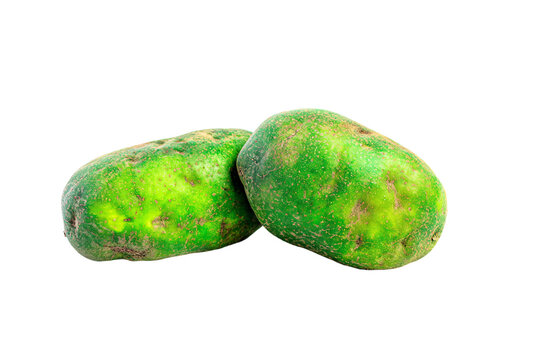 two green potatoes with brown spots on them