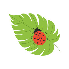 Cute ladybug resting on a leaf. Flat cartoon insect drawing for nature or children themes. Vector illustration.