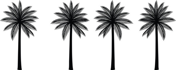 Fototapeta premium Silhouettes of four tropical palm trees in row layout with tall trunks and leafy crowns, cad drawing flat vector illustration design