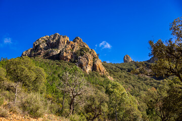 red rocks in the mountains